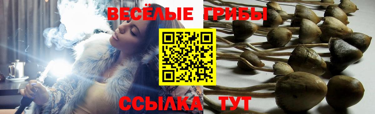 Галлюциногенные грибы Magic Shrooms  Вход с VPN  Барнаул 